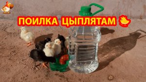 Поилка цыплятам из бутыли, уголка и чашечки 💦🐤🐥❣️