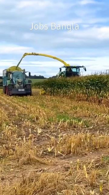 Maize Harvesting #technology #agriculture #shorts #agriculturemachine #tractor
