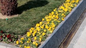 Поездка в Узбекистан, февраль 2023, часть третья - Самарканд