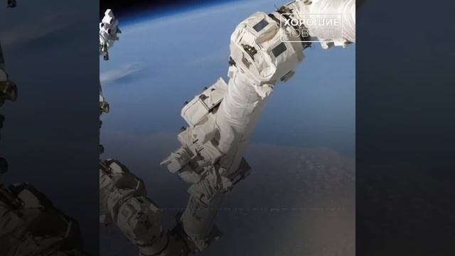 В Самаре изобрели робота для автоматического спасения космонавтов в опасной ситуации смотреть онлайн