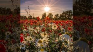 Аркадий Кобяков *Уходишь, Уходи *remix