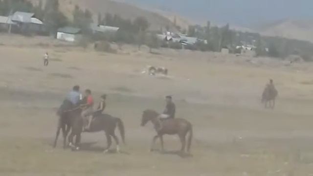 Кок бору смотреть онлайн