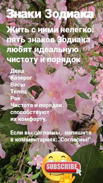 Жить с ними нелегко, пять знаков Зодиака любят идеальную чистоту и порядок / 5835