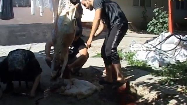 АНДИЙЦЫ. КУРБАН БАЙРАМ 10 07 22г БОЧИ САИД смотреть онлайн