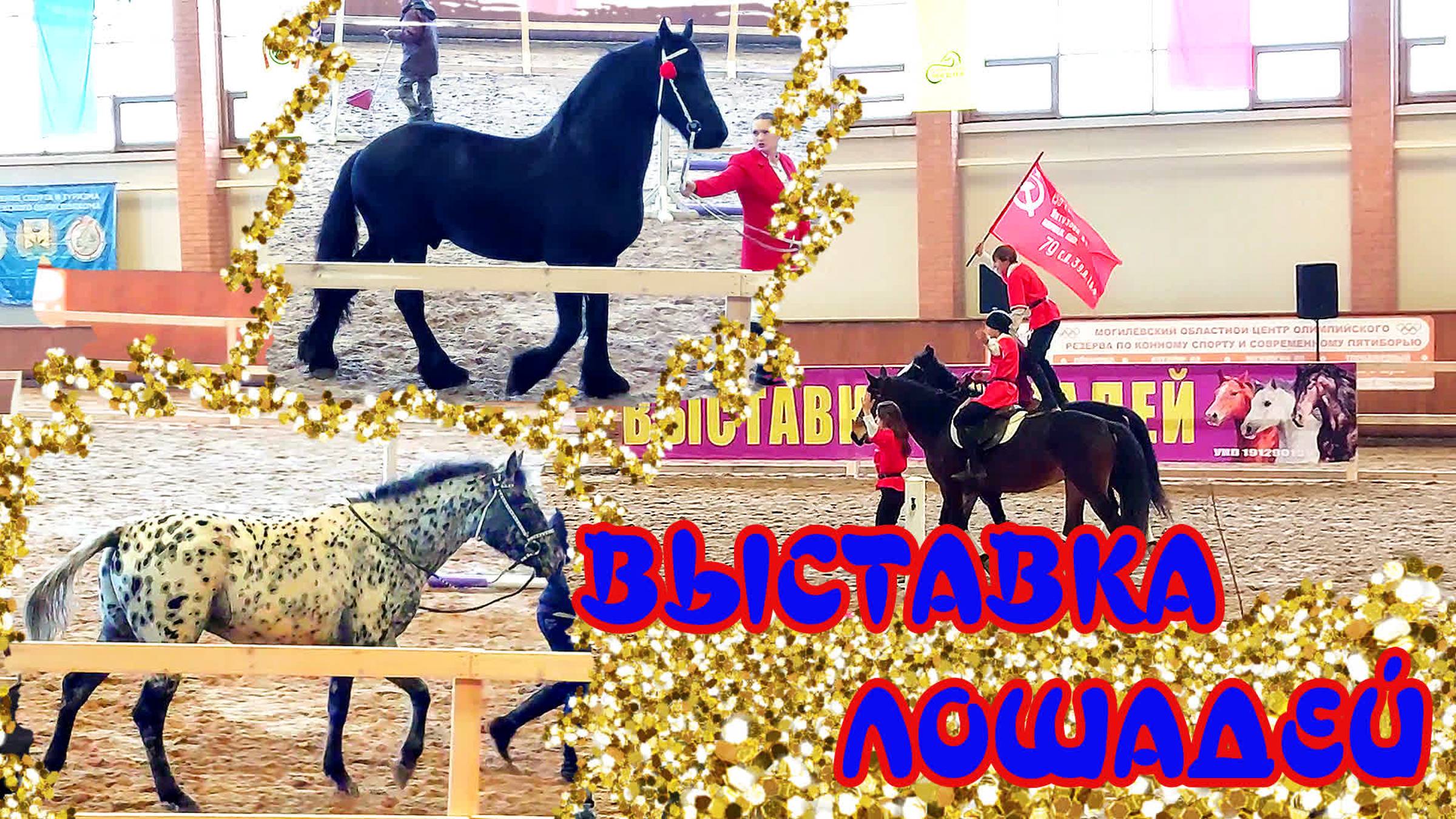 Конные выступления / Выставка лошадей