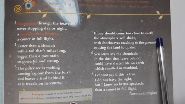 Class 6, English, Comet, Explanation смотреть онлайн