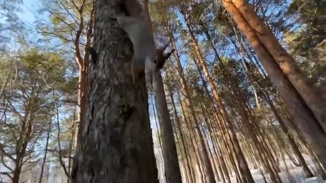 20 апреля 2023 г. смотреть онлайн