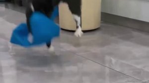 Mr. Непредсказуемость