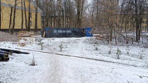Хвойные деревья, Сергиев Посад-7, мкр. Ферма