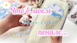 Что в моем пенале ? Эстетика