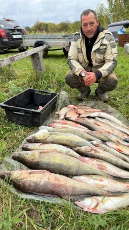 Как поймать своего трофея 2025 #fishing #рыбалка  #щука #судак