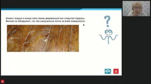 Вебинар мастер-класс Окраска полов внутри и снаружи помещений -теория практика-
