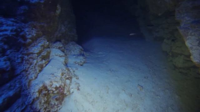 80m dive to Neptune's Cave at the Canyon - Dahab смотреть онлайн