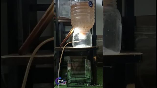 Cara tetas bbs aquaking смотреть онлайн