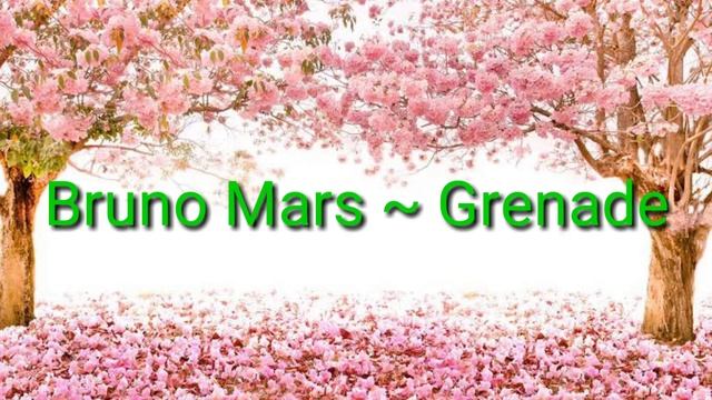 Bruno Mars ~ Grenade [ musik ]
