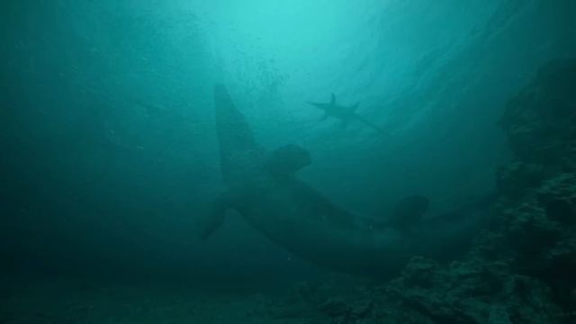 Analizando el Episodio 4 de Prehistoric Planet 2 смотреть онлайн