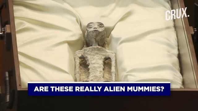 UFO Proof? “Non-Human” Alien Corpses Retrieved From Peru Displayed At Mexico Congressional Hearing смотреть онлайн