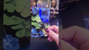 Оракул Затмение. Автор Амира Таро. Обзор колоды и краткий курс по обучению.