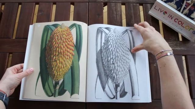 The Kew Gardens World of Flowers Colouring Book - flip through смотреть онлайн