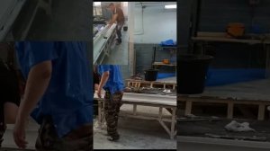 Лепщики у станка. Протяжка гипсовых карнизов.