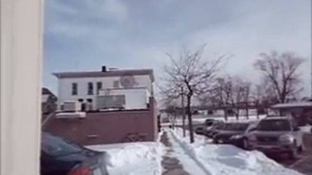 Daisy visits Pretty Pawsh Pet Spaw NO Longer in Business смотреть онлайн