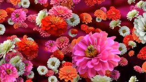 Floral Background