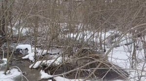 Разведение рыбы в садке. Поиск родничка. Сеть для садка.