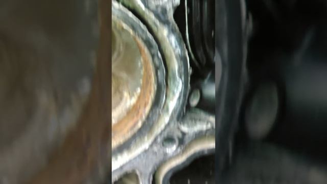 Mercury 225 Four stroke смотреть онлайн