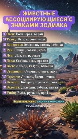 Животные ассоциирующиеся с знаками зодиака