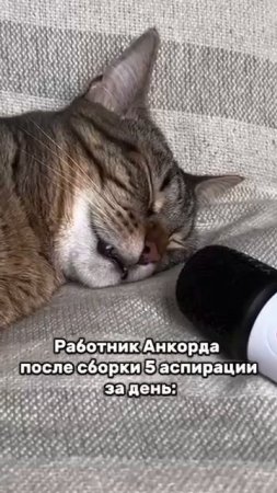Год начался настолько бодро, что наши работники после смены уже выглядят вот так. 😄
