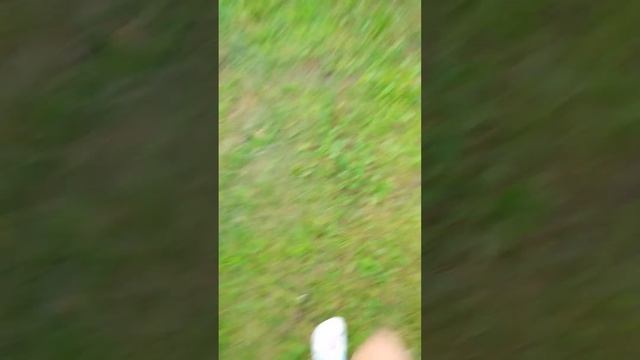 2 часть как мы вышли гулять  день 2 смотреть онлайн