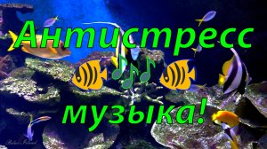 🐠 БЕЗУМНО КРАСИВАЯ РЕЛАКС МУЗЫКА ДЛЯ ДУШИ 🎵 ЧАРУЮЩИЙ АКВАМИР И УСПОКАИВАЮЩАЯ МУЗЫКА ДЛЯ СНА