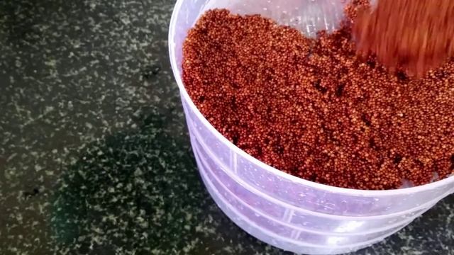 How To Use Sprouts Maker | How to Make Sprouts in Sprouts Maker at Home | Ragi Seeds Sprouts смотреть онлайн