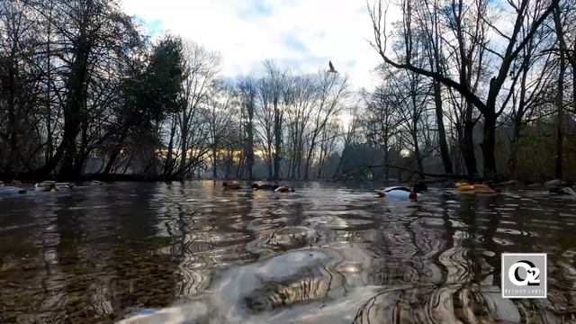 Apples From Mars - This Beautiful Beautiful Beautiful World 🌏 смотреть онлайн