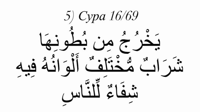 Шифа аяты в день весеннего равноденствия 20/21 Марта 2024 года, Мохьмад Хьаьж Дубайский смотреть онлайн