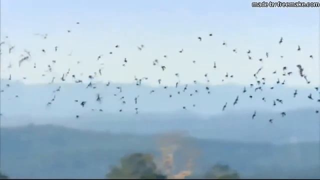 planet earth - sleeping sun смотреть онлайн