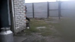 Могучие рейнджеры самурай 1 серия