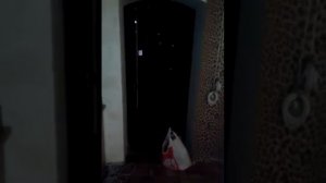 Детки курят и пьют коктельчики