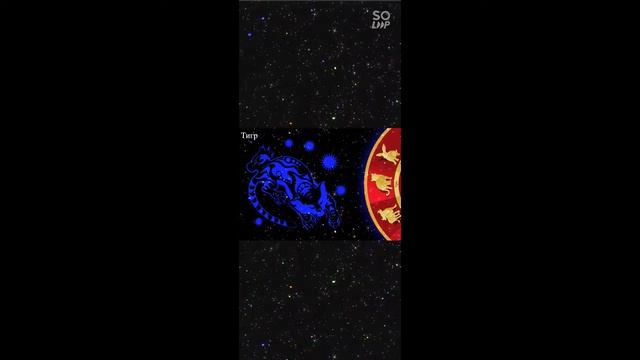 ЧТО ГОД ЮПИТЕРА ГРЯДУЩИЙ НАМ ПРИНОСИТ ?  #АСТРОПРОГНОЗ2022 #АСТРОЛОГИЯ #НОВЫЙГОД2022  #ГОДТИГРА смотреть онлайн