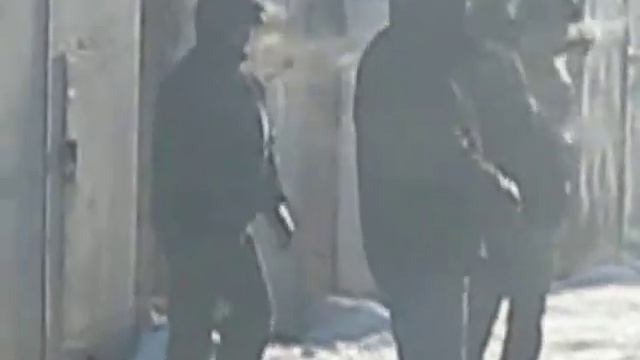 Холодно! А разрешение на работу очень хочется! смотреть онлайн