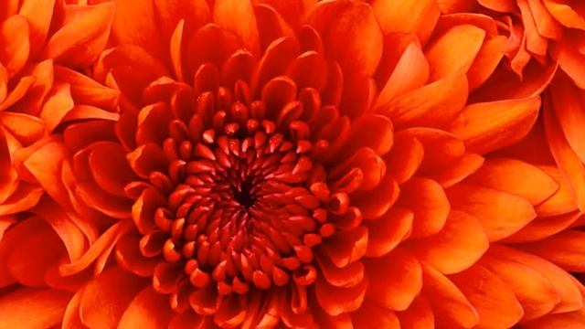 Отличная музыка даёт хороший настрой