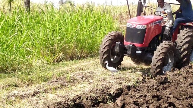 Massey Ferguson 9500 4wd smart series ploughing with lemken