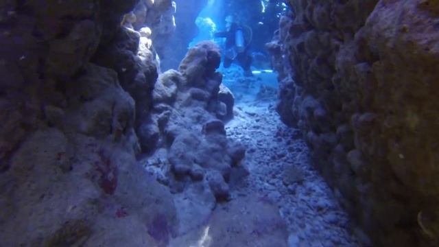 Canyon Marsa alam Dolphin House смотреть онлайн