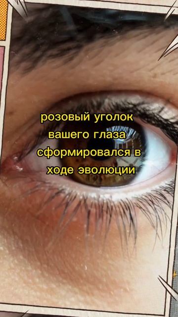 жуткие факты ч.34 #факты #жуткиефакты #ультриванов смотреть онлайн