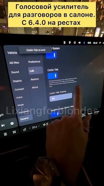 Голосовой усилитель в #lixiang #li9 #li7 #L9 #L7 #lixiangforblondes #li6 #l6 #li8 #l8 смотреть онлайн