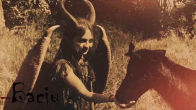 Лес Хоя-Бачи в Трансильвании смотреть онлайн