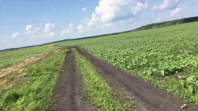 Хороший друг Юпитер 4 смотреть онлайн