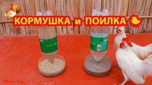 Устойчивые кормушки курам из пластиковых бутылок 💦🐓❣️