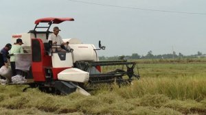 Yanmar AW70V AW82V Rice Combine Harvester