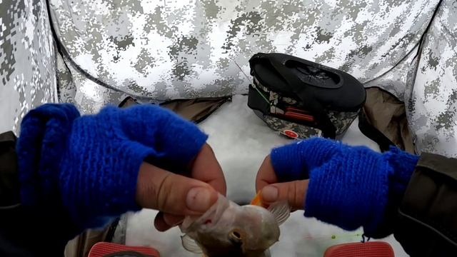 Поиски КРУПНОГО окуня на мелях. ОКУНИ ОТРЫВАЮТ мормышки. Ловля окуня на мормышку со льда. Глухозимье смотреть онлайн